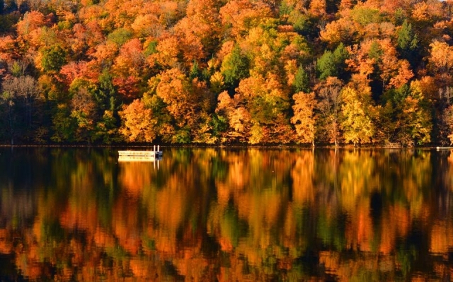 メープル街道のハイライト！ ローレンシャン高原で楽しむ、カナダの紅葉絶景ドライブ