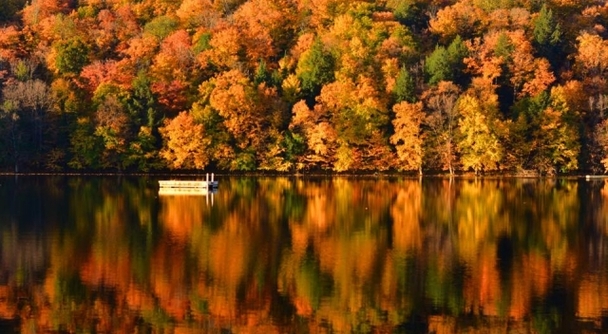 メープル街道のハイライト！ ローレンシャン高原で楽しむ、カナダの紅葉絶景ドライブ