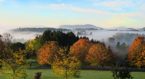 アートと自然が調和する旅。ロックウェルのまなざしに映ったマサチューセッツ州バークシャーへ！