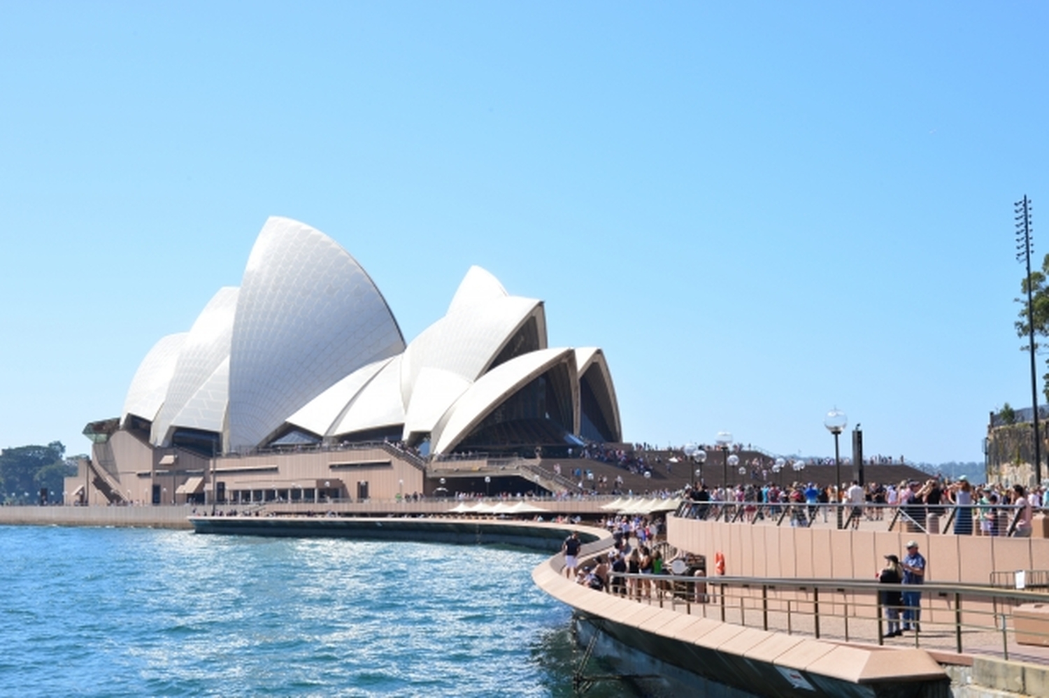 ベストシーズン到来！動物・港・美食を一度に！ハーバー・シティ シドニーへ
