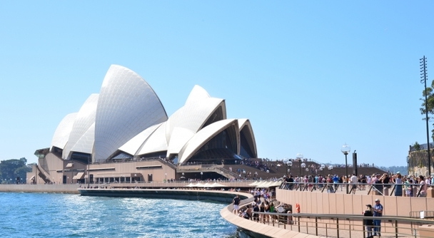 ベストシーズン到来！動物・港・美食を一度に！ハーバー・シティ シドニーへ