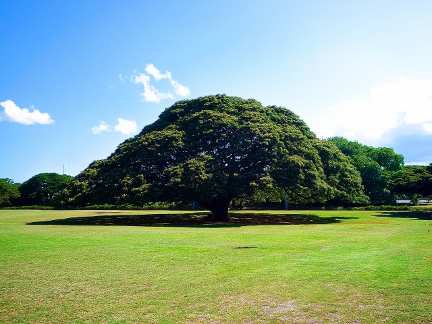 戦略的に楽しむプライベートハワイ！日本人の&ldquo;好き&rdquo;を集めたノースショア攻略の秘密兵器