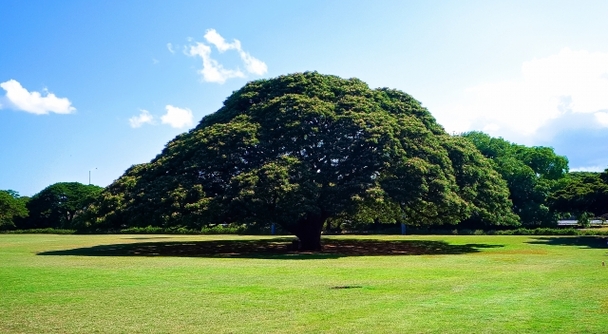 戦略的に楽しむプライベートハワイ！日本人の&ldquo;好き&rdquo;を集めたノースショア攻略の秘密兵器