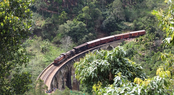 午後の紅茶の世界へ──ヌワラエリヤとエッラを巡る紅茶のふるさと旅【1泊2日】