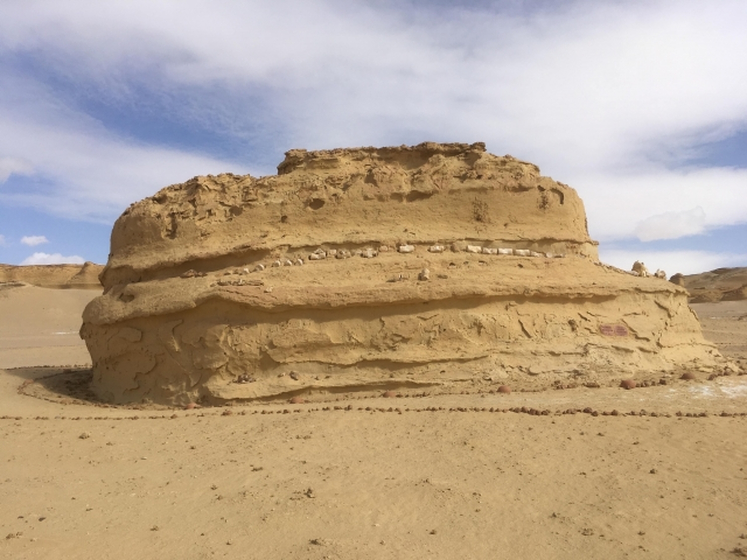 カイロ発　世界遺産「クジラの谷」と砂漠のオアシス「ファイユーム」サファリツアー