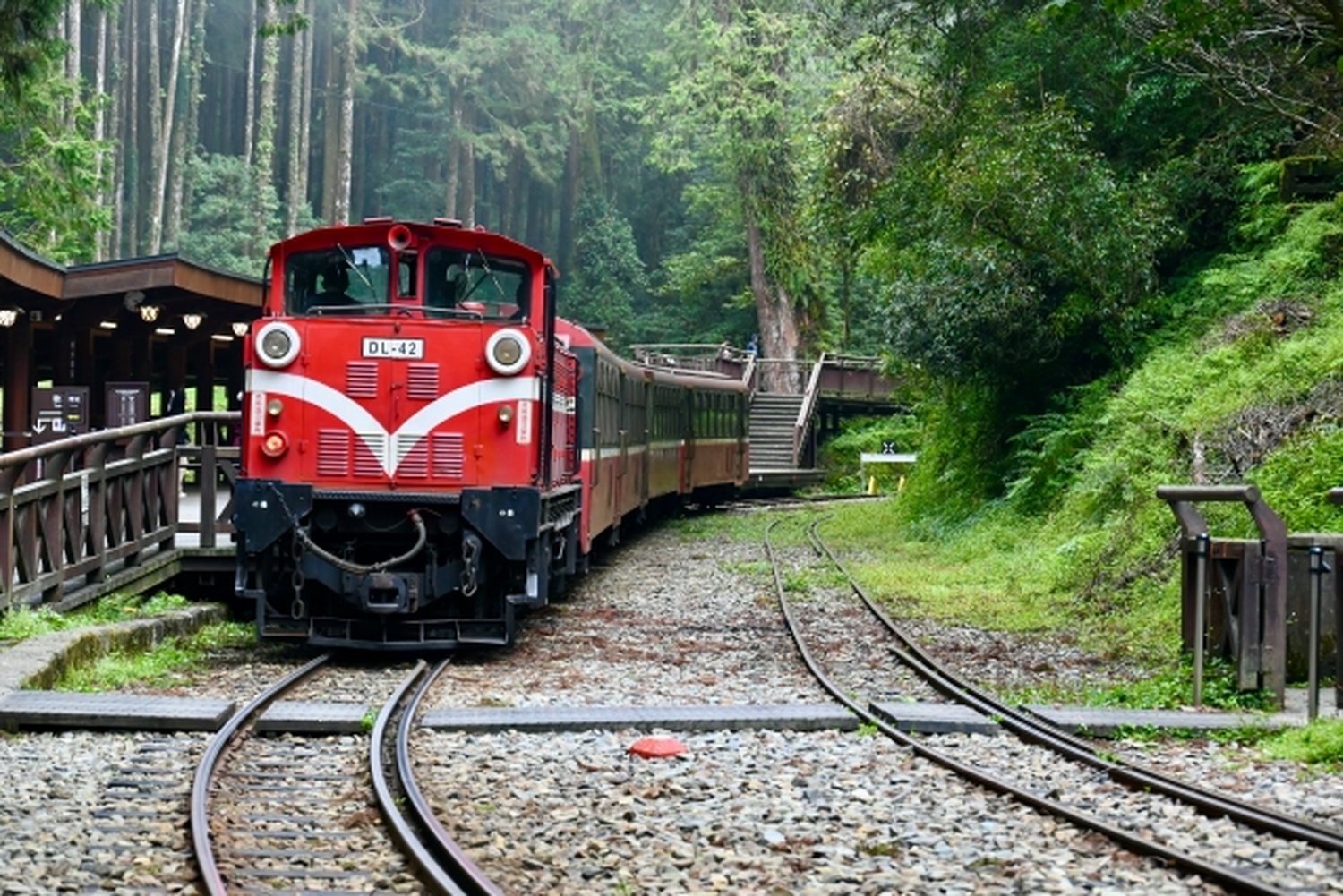 八田與一が水を拓き、阿里山鉄道が森林を越えた。日本人技師たちの情熱と遺産！