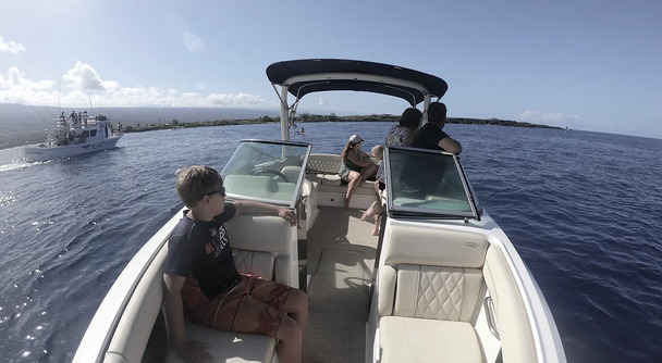 &ldquo;寒い日本を抜け出し、太平洋の巨人と出会う――ハワイ島ホエールウォッチング&rdquo;