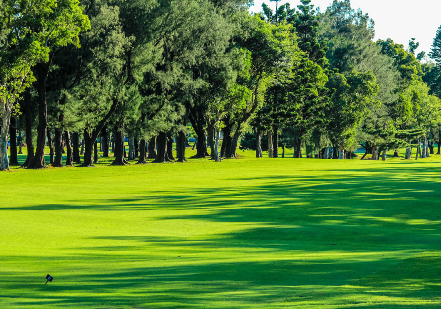 台北ゴルフで新シーズン開幕！高スコアでキックオフ！