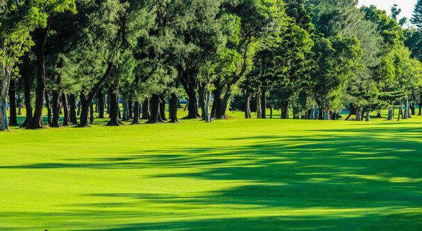 台北ゴルフで新シーズン開幕！高スコアでキックオフ！