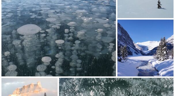 凍てつく寒さの先に、息をのむ絶景が待っている！バンフ発アイスバブル探訪ツアー