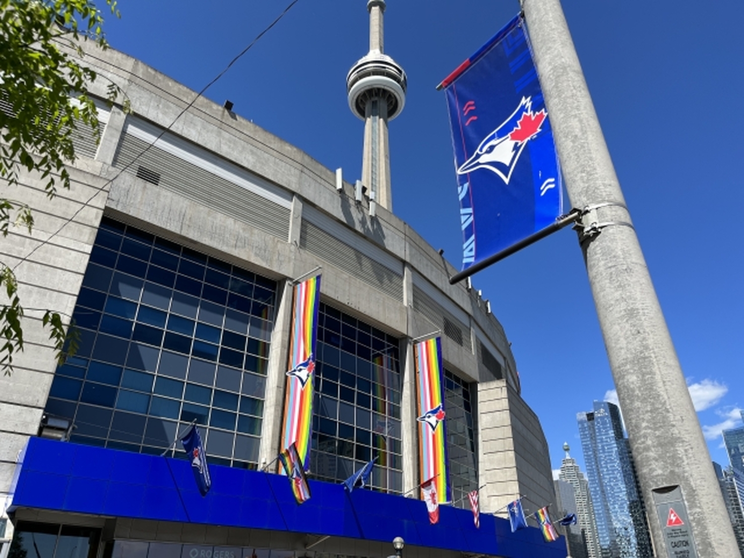 ㊗岡本和真、挑戦の舞台はトロントへ！主砲が選んだ街、今、最も熱いカナダへ。