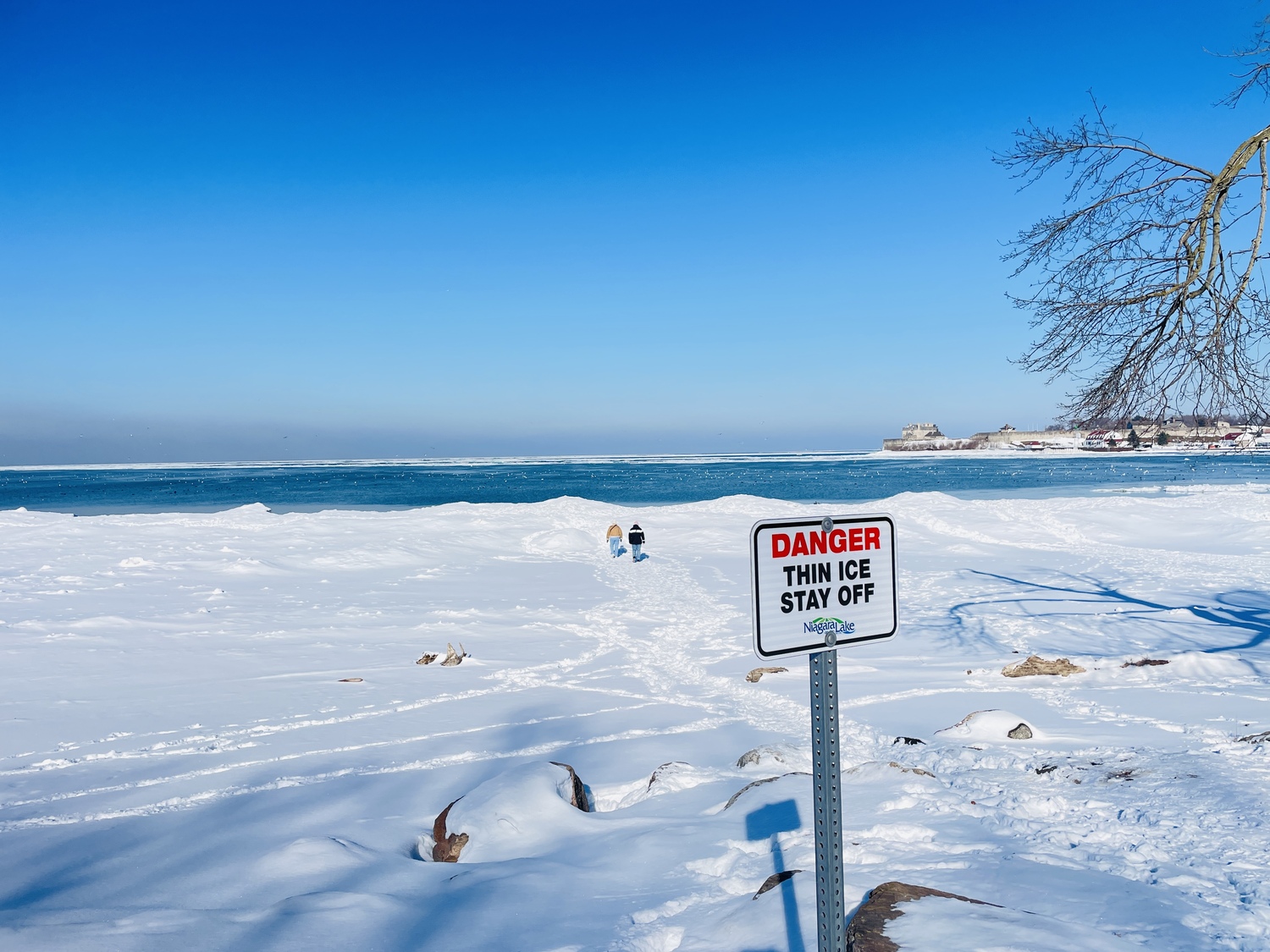 冬のナイアガラ滝は別世界｜氷とミストと流氷、ワールプールのカモメがすごかった！！