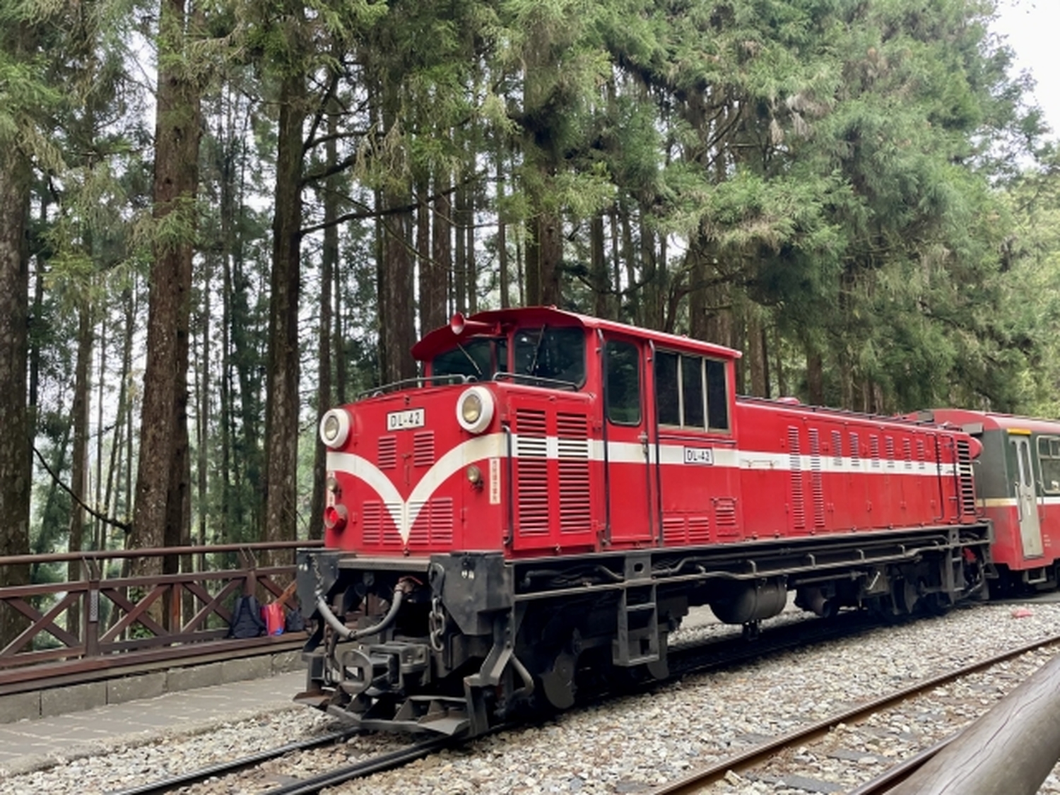 世界三大登山鉄道 阿里山へ　鉄道ファンも唸る上質な絶景旅