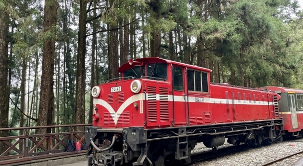 世界三大登山鉄道 阿里山へ　鉄道ファンも唸る上質な絶景旅