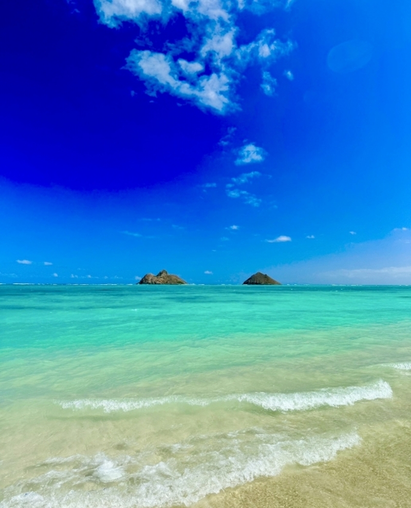 ホノルル　カイルア＆ノースショアツアー