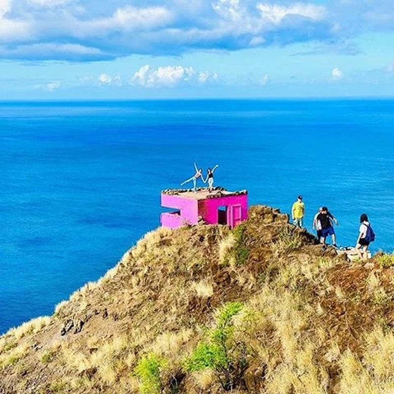 ホノルル ピンクピルボックス＆ノースショアツアー - 【公式】たび