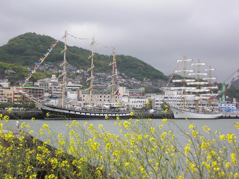 2025年４月5日出発　プリンセスクルーズ　対馬海流　春景色と韓国12日間