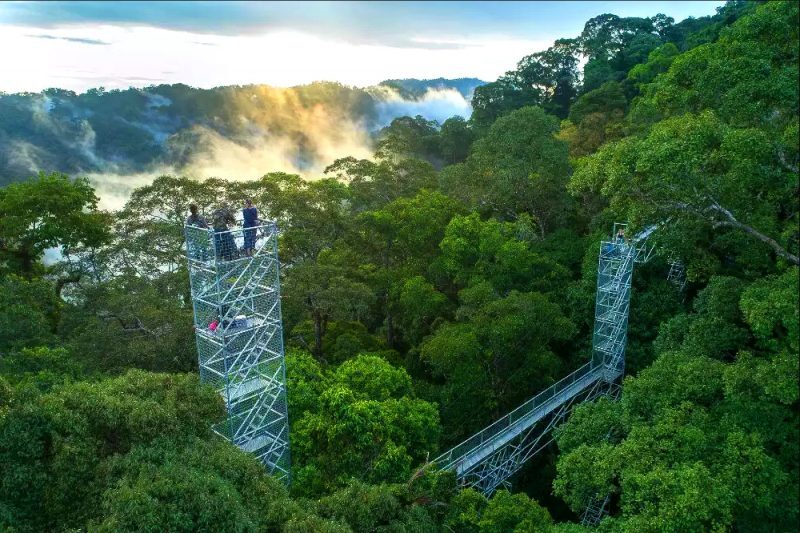 バンダルセリブガワン　熱帯雨林「ウル・テンブロン国立公園」1日ツアー