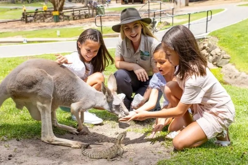 ブリスベン発　カランビン自然動物保護園ツアー