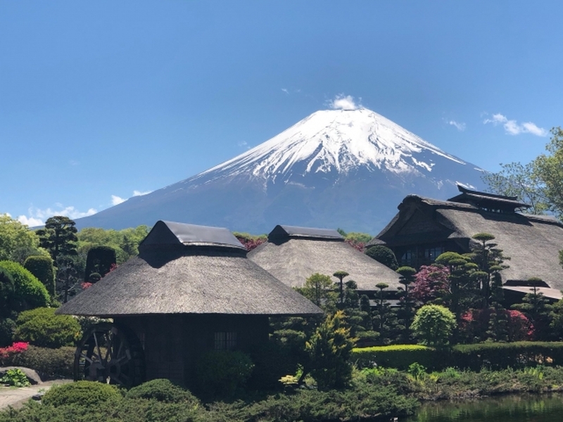 東京発　雲上の別世界 富士山５合目と神秘的な湧水の里・忍野八海1日観光