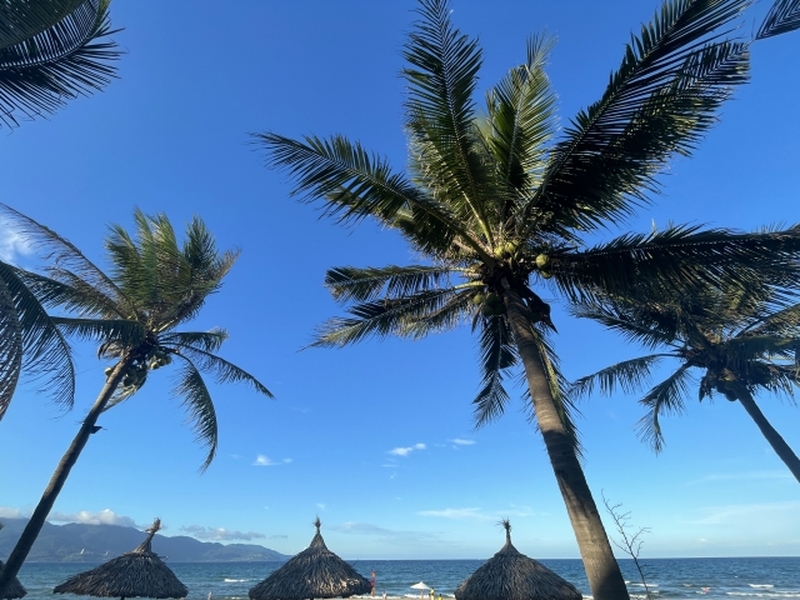 ダナン　日本語ドライバー付きプライベートツアー