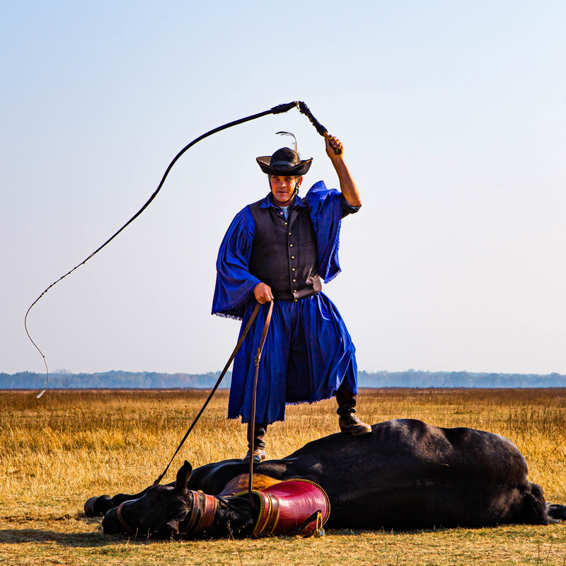 ブダペスト発　ホルトバージ大平原ツアー