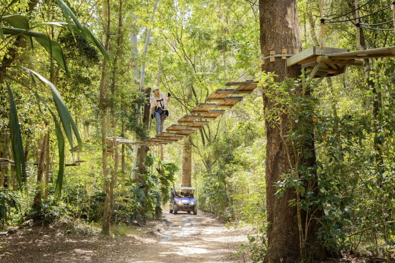 ブリスベン発　マウントタンボリン1日ツアー