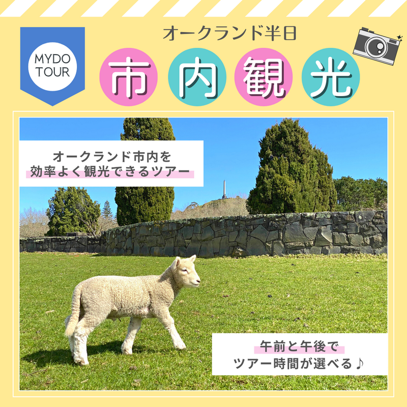 オークランド半日市内観光