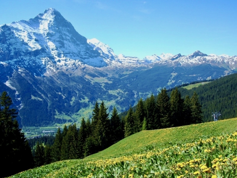 グリンデルワルト　日本語プライベートガイドサービス