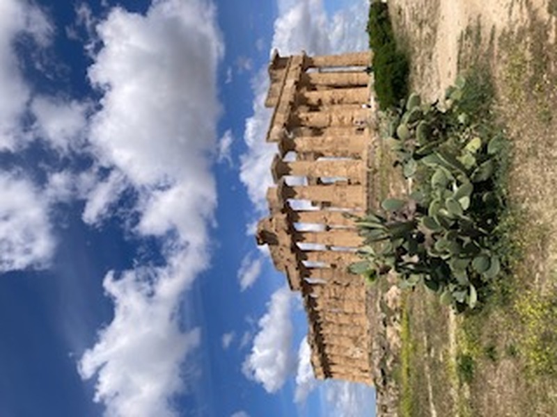 パレルモ発　セリヌンテ遺跡と港町マッザーラ・デル・ヴァッロの1日観光