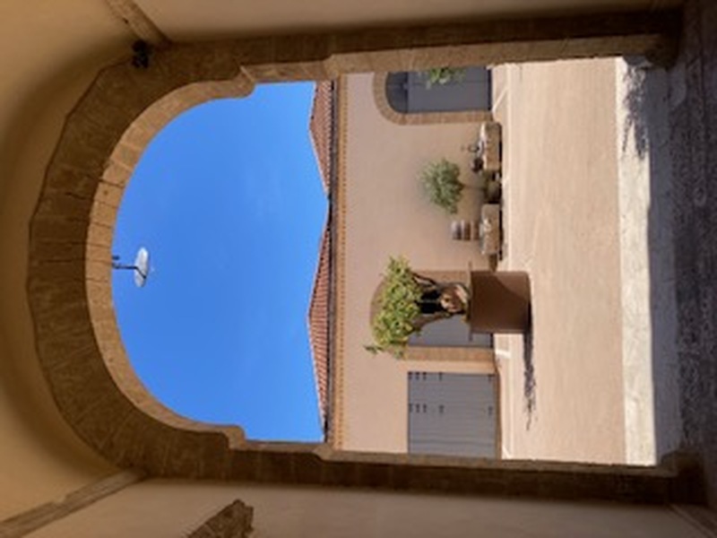 パレルモ発　セジェスタとアルカモワイナリー見学＆テイスティング