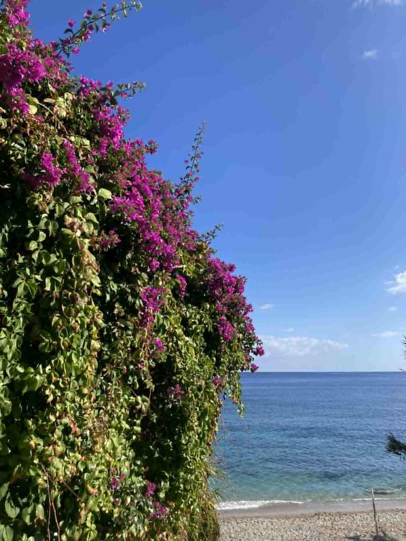 パレルモ発　ヴィッラと海を巡るローカルツアー