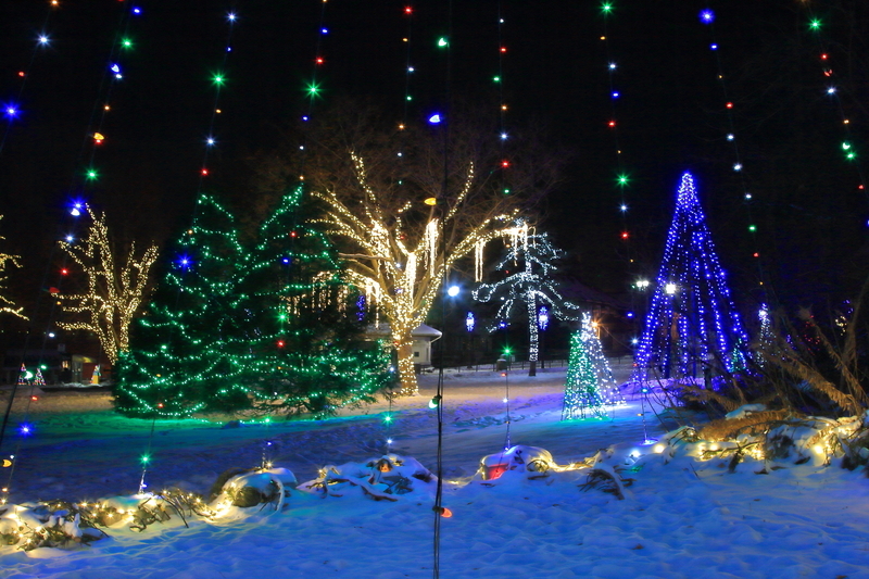 【期間限定】トロント発　 ナイアガラ光の祭典とナイアガラの滝ライトアップ