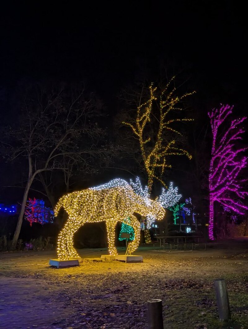 【期間限定】トロント発　 ナイアガラ光の祭典とナイアガラの滝ライトアップ