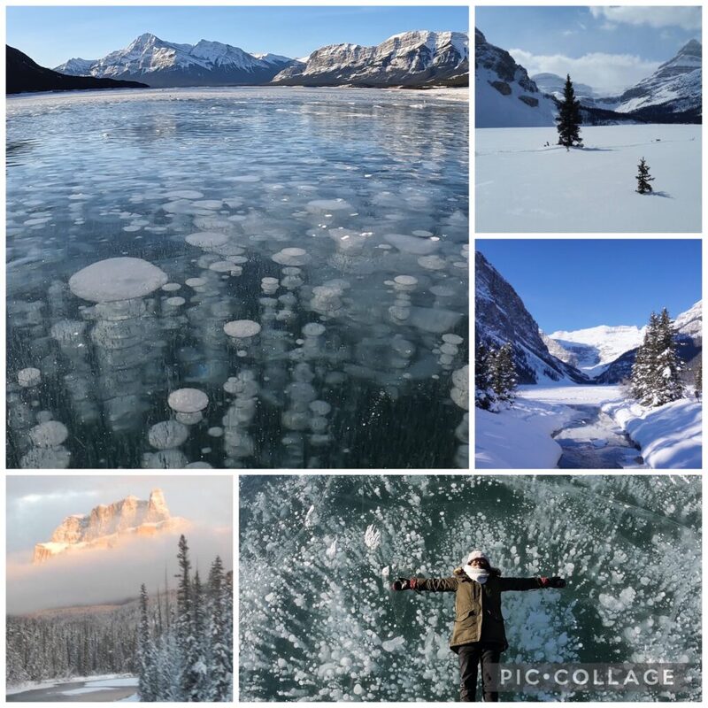バンフ発　アブラハムレイク　  アイスバブルツアー