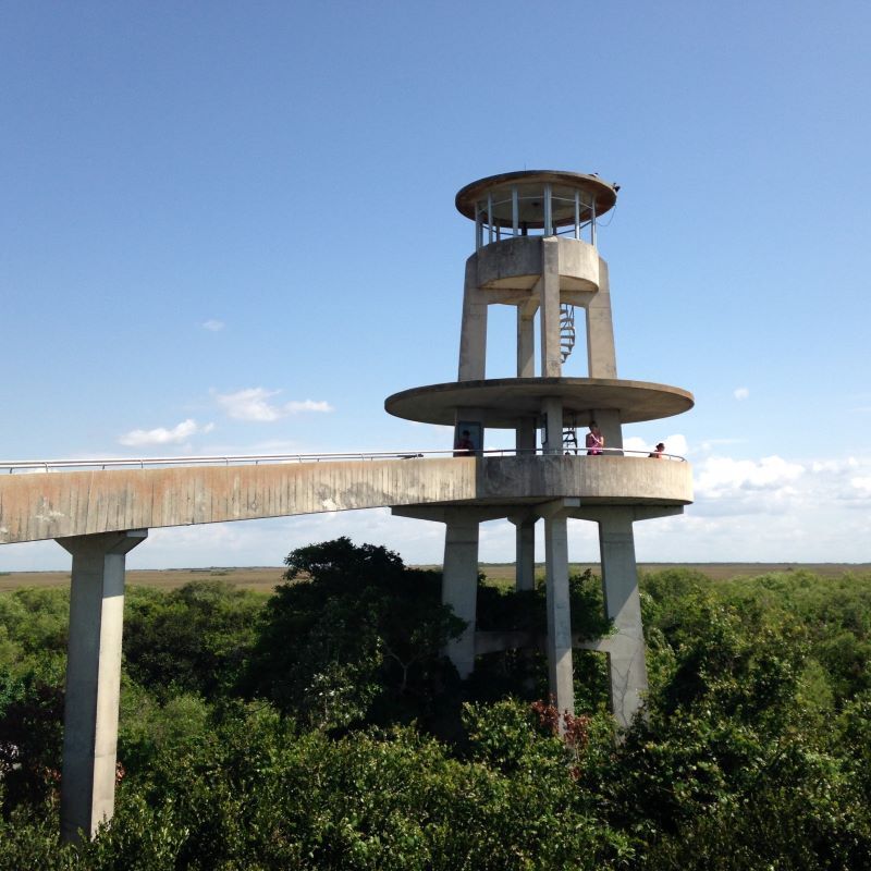 マイアミ　世界遺産エバーグレーズ・エコツアー