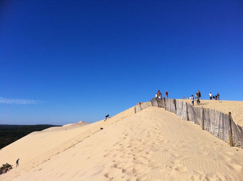 ボルドー発　ボルドーワイン　アルカッションコース