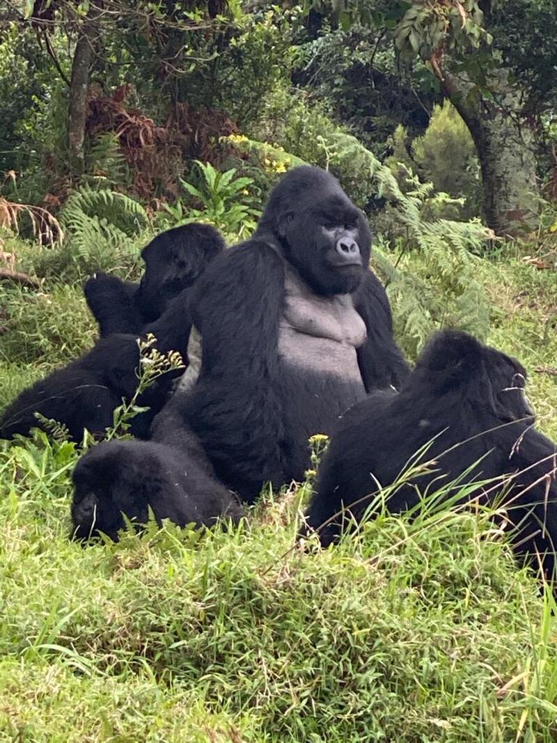 カンパラ発　コーヒーとマウンテンゴリラに学ぶSDGsスタディツアー　～ウガンダ～のコピーのコピー