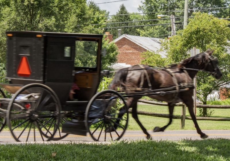トロント発　セント・ジェイコブス村メノナイト文化とファーマーズマーケット体験
