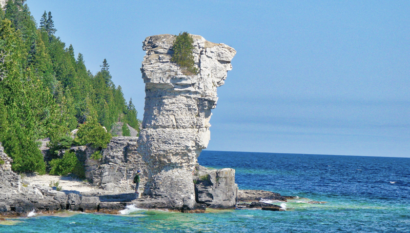 トバモリー＆フラワーポット島 日帰り