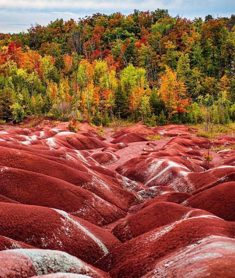 トロント発　巨大とうもろこし迷路とハロウィンのパンプキンファーム日帰りツアー