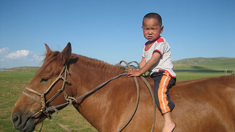 ウランバートル発　テレルジ国立公園　遊牧民宅ホームスティ1泊2日