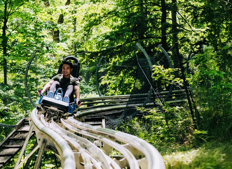 ブルーマウンテンハイキング・ビール醸造所・アンティーク巡り