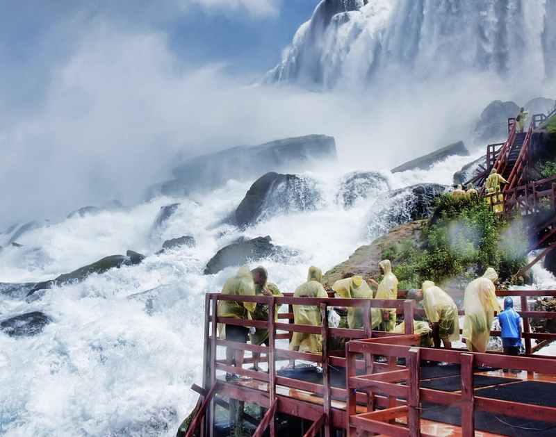 ナイアガラ発　バードキングダム、アクアリウム・オブ・ナイアガラ、風の洞窟3か所巡り