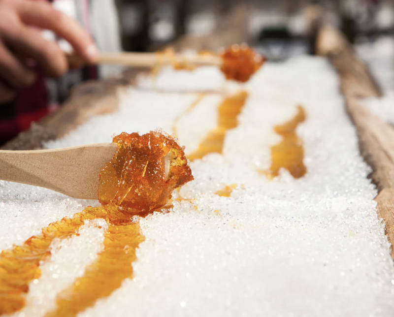 ナイアガラの滝発　春限定「メープルシロップ体験」日帰りツアー（Maple Syrup Festival／シュガーブッシュ巡り）