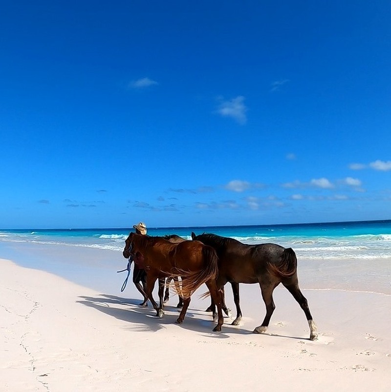 ナッソー発　ハーバーアイランド　往復フェリーチケット