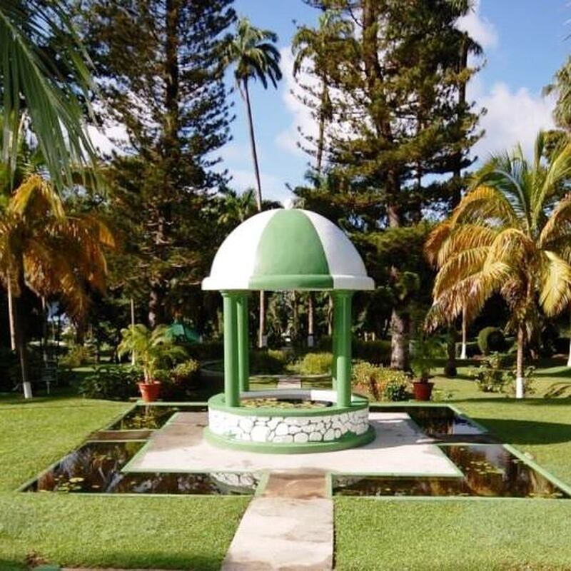 セントビンセント島　「カリブの宝石」キングスタウン1日観光