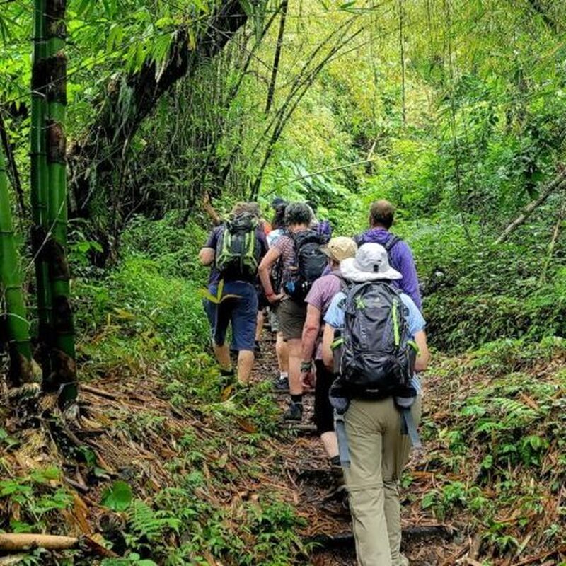 セントビンセント島　スフリエール火山ハイキング
