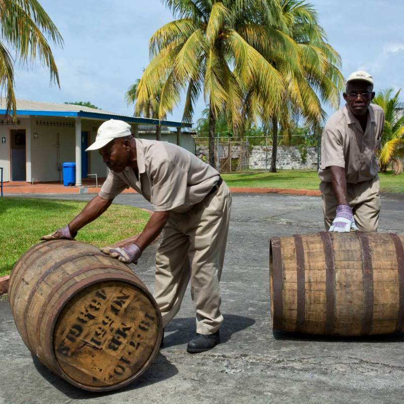 セントビンセント島　東海岸観光&ラム酒試飲ツアー