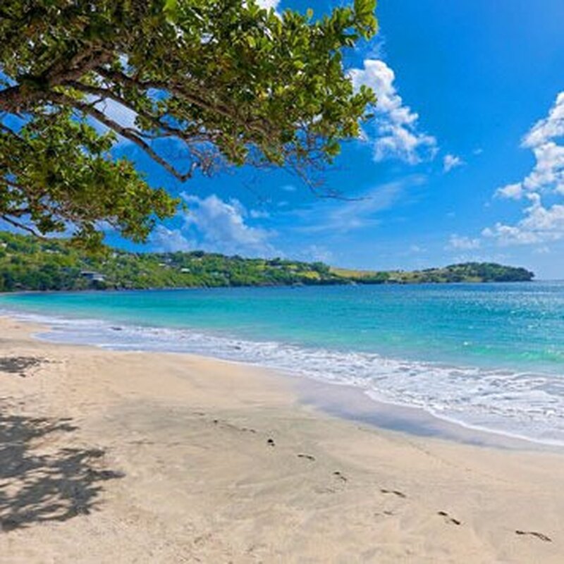 セントビンセント島発　ベキア島日帰りツアー